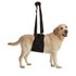 ZENPET Buddy Lift, Canine Support & Rehabilitation Sling, M/L, 20-60 Lbs - Poudre Pet and Feed Supply