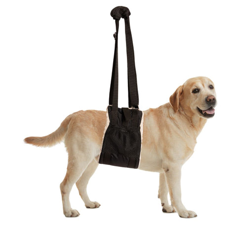 ZenPet Buddy Lift Canine Support & Rehabilitation Sling L/XL - Poudre Pet & Feed Supply