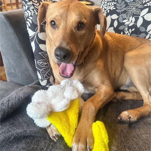 Cycle Dog Duraplush Pint of Beer Dog Toy Medium - Poudre Pet & Feed Supply 3