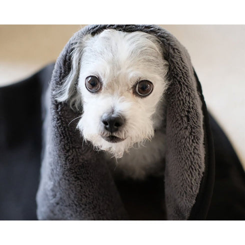 Cycle Dog Barrier Water Resistant Dog Blanket Grey Black Medium - Poudre Pet & Feed Supply 3