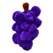 Cycle Dog Duraplush Grapes Dog Toy Small Purple - Poudre Pet & Feed Supply