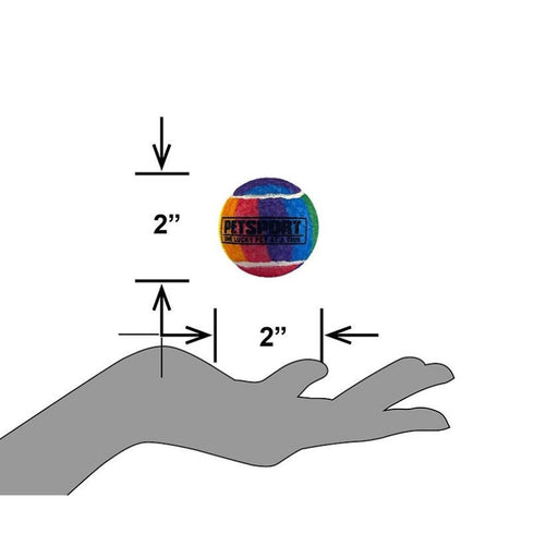PetSport Rainbow Squeak Ball 1.8" 3-Pack Dog Toys - Poudre Pet & Feed Supply 3