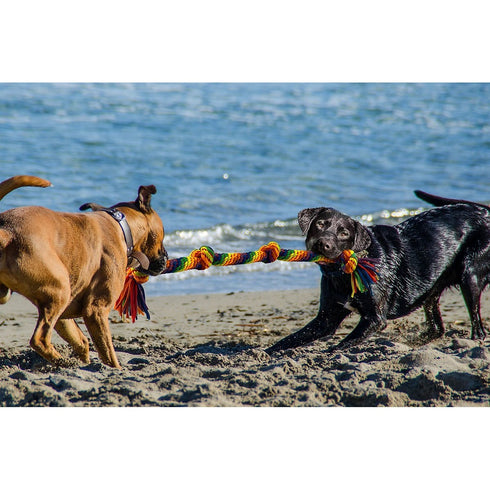 PetSport Kaleidoscope Rope XL Knot Tug 22" Dog Toy - Poudre Pet & Feed Supply 3