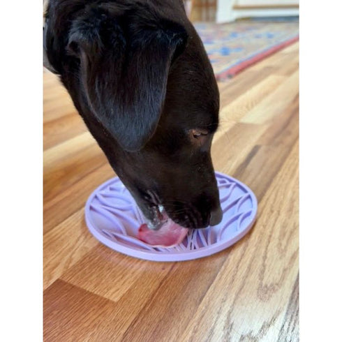 SodaPup eMat Tulip Design Lick Mat With Suction Cups Purple - Poudre Pet & Feed Supply 5