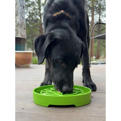 SodaPup eTray Garden Enrichment Shallow Slow Feeder Green - Poudre Pet & Feed Supply 5