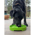 SodaPup eTray Garden Enrichment Shallow Slow Feeder Green - Poudre Pet & Feed Supply 5