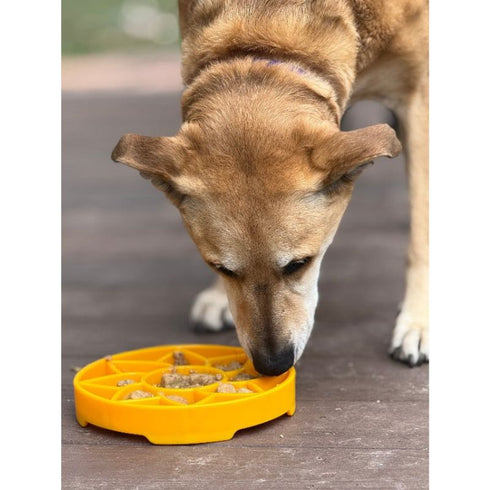 SodaPup eTray Sunflower Design Enrichment Shallow Slow Feeder Yellow - Poudre Pet & Feed Supply 5