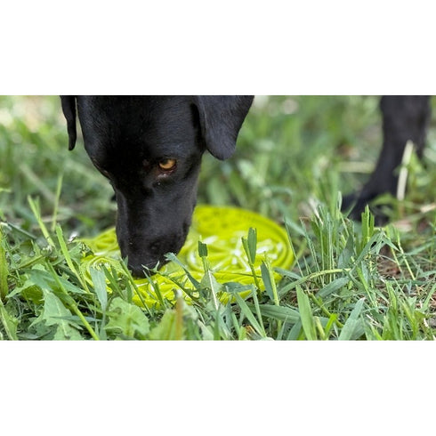 SodaPup Citrus Design eMat Enrichment Lick Mat With Suction Cups - Poudre Pet & Feed Supply 4