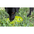 SodaPup Citrus Design eMat Enrichment Lick Mat With Suction Cups - Poudre Pet & Feed Supply 4