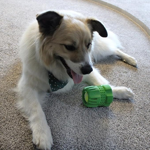 Spot Barrett Tough Tennis Jumble Dog Toy, Large