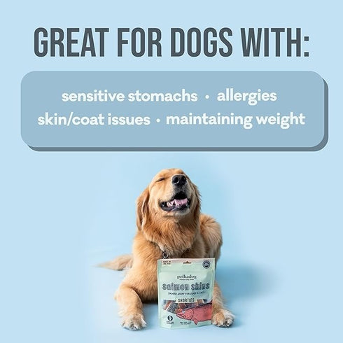PolkaDog Bakery Dog Salmon Skin Jerky 3 oz Pouch