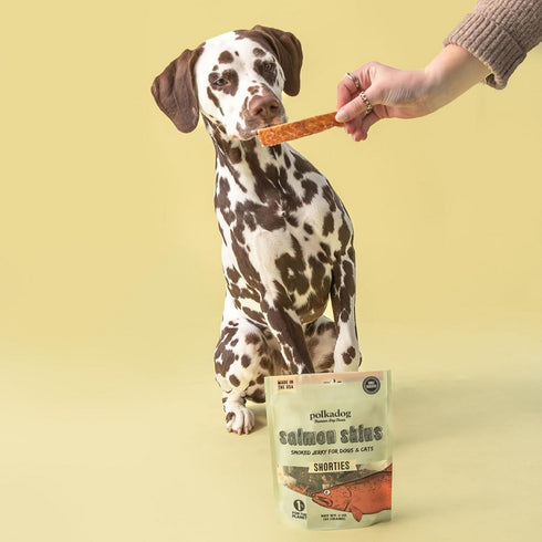 PolkaDog Bakery Dog Salmon Skin Jerky 3 oz Pouch