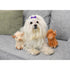 Multipet Minipet Highland Cow Dog Toy 5" - Poudre Pet & Feed Supply 4