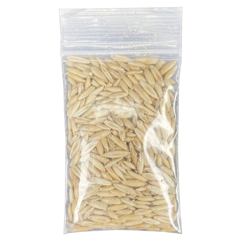 Multipet Catnip Garden Cat Grass Kit - Poudre Pet & Feed Supply 3