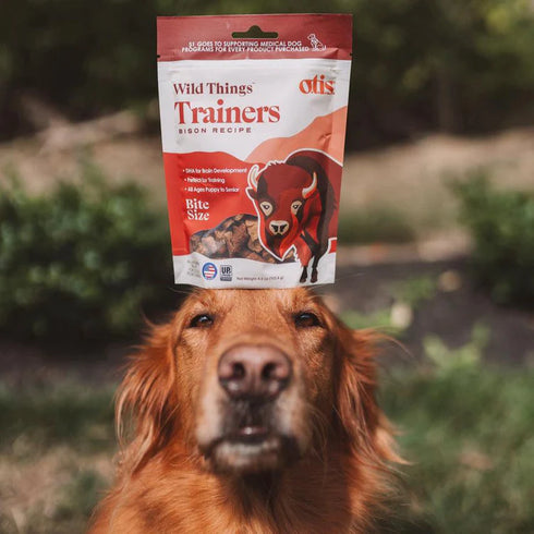 Otis Wild Things Trainers Dog Treats - Bison - 4oz Pouch