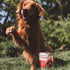 Otis Wild Things Trainers Dog Treats - Bison - 4oz Pouch