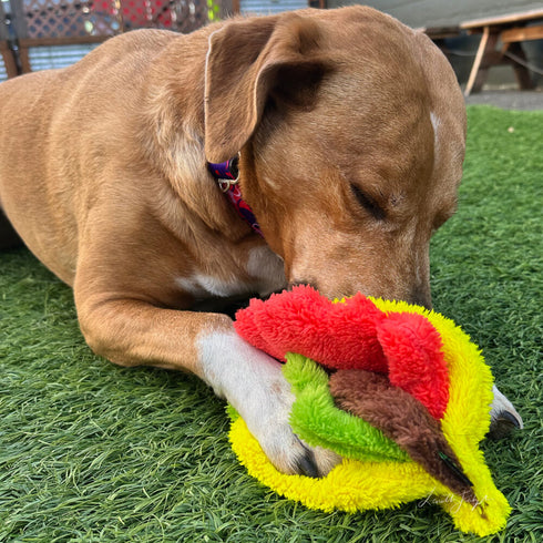 Cycle Dog Duraplush Taco Dog Toy - Medium