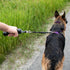 EZYDOG Mongrel Dog Leash Extension - Black