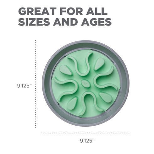 Outward Hound Fun Feeder Wobble Slo-Bowl Dog Bowl Mint - Poudre Pet & Feed Supply 6