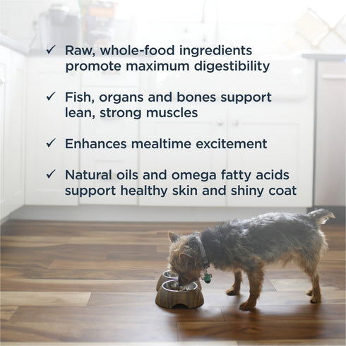 Instinct Pet Food Raw Frozen Bites Pollock Dog Food 5.4lb - Poudre Pet and Feed Supply