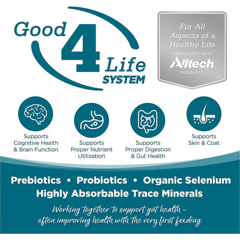 Nutrisource Adult Chicken Rice Dry Dog Food 26lb - Poudre Pet and Feed Supply