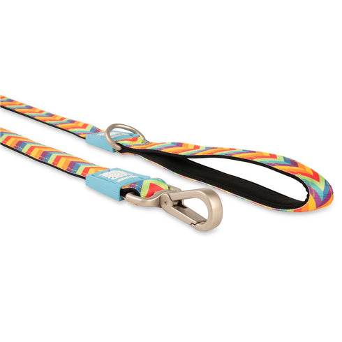 Max&Molly Leash Summertime - Poudre Pet and Feed Supply