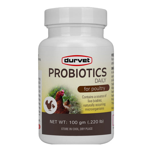 Durvet Poultry Probiotics Daily 100G - Poudre Pet and Feed Supply