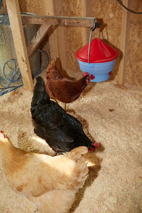 VSI Little Giant Deluxe Hen Hydrator - 1 Gallon - Poudre Pet and Feed Supply