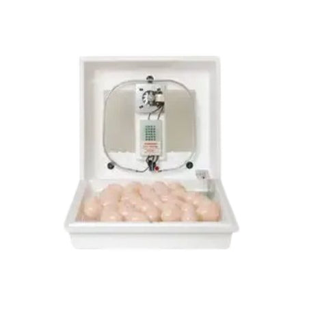 Little Giant Digital Egg Incubator - Poudre Pet & Feed Supply