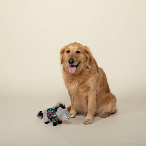 Petshop By Fringe High Tides Good Vibes Plush Dog Toy - Poudre Pet & Feed Supply 3