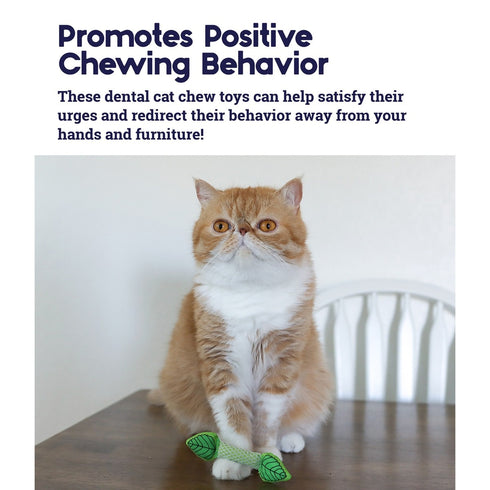 PetStages Mint Stick Dental Cat Chew Toy - Poudre Pet & Feed Supply 4