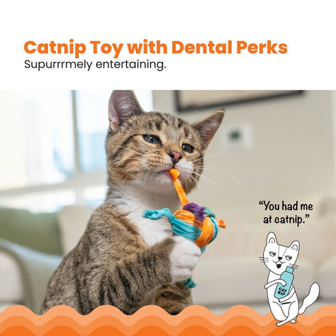 PetStages Tons Of Tails Dental Catnip Cat Toy - Poudre Pet & Feed Supply 2