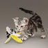 Kong Better Buzz Banana Cat Toy - Poudre Pet & Feed Supply 2