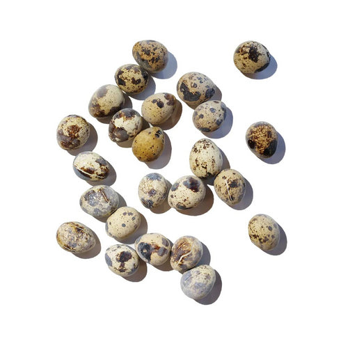 Savage Cat Frozen Quail Eggs Cat & Dog Treats 24ct