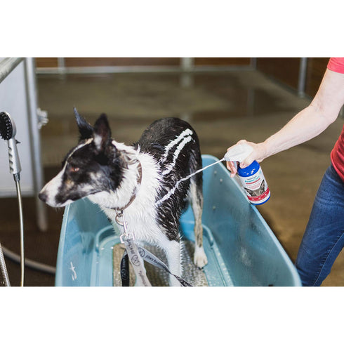 Vetericyn FoamCare Medicated Pet Shampoo 16oz poudrefeed.com 2