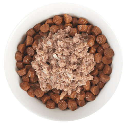 Tiki Cat Born Carnivore Broths, Duck & Chicken Cat Moist Treat Topper 1.3oz