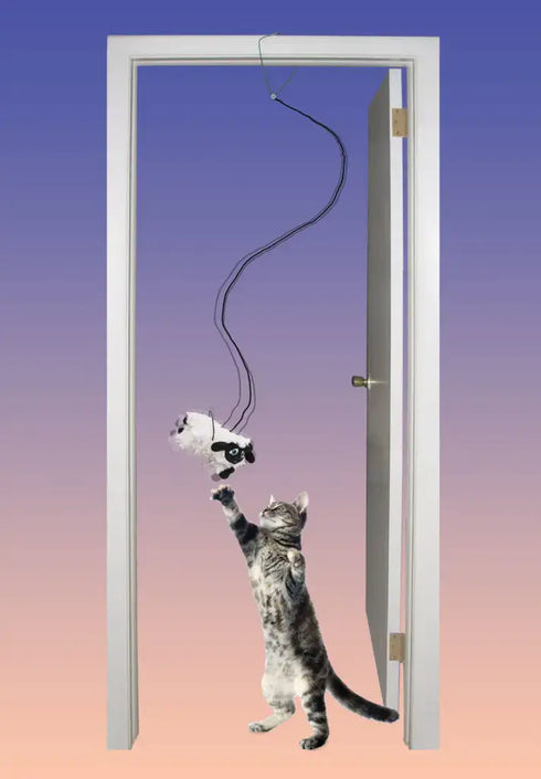 SPOT Baa Baa Black Sheep A-Door-Able Cat Toy