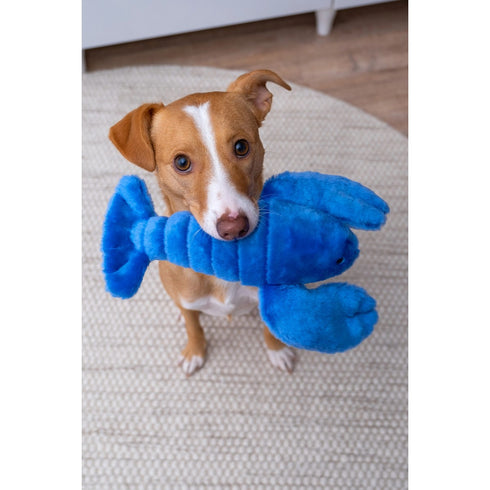 Fluff & Tuff Lucky Lobster Dog Toy - Poudre Pet & Feed Supply 3