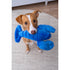 Fluff & Tuff Lucky Lobster Dog Toy - Poudre Pet & Feed Supply 3