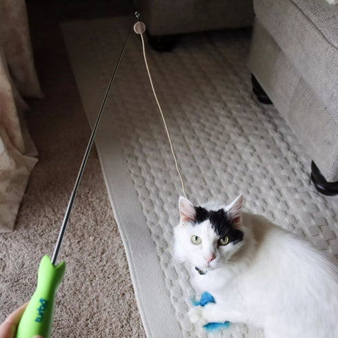 Coastal Turbo Telescoping Wand with LED Pointer Cat Toy