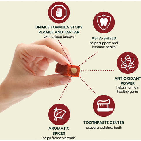 Ark Naturals Brushless Toothpaste Protection+ Small Dental Dog Treats, 12-oz bag,