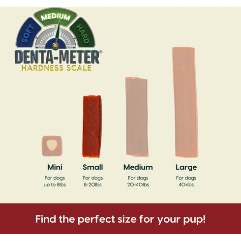 Ark Naturals Brushless Toothpaste Protection+ Small Dental Dog Treats, 12-oz bag,