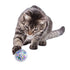 Kong Cat Active Confetti Ball - Poudre Pet & Feed Supply