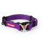 EzyDog Double Up Dog Collar XL Purple - Poudre Pet & Feed Supply