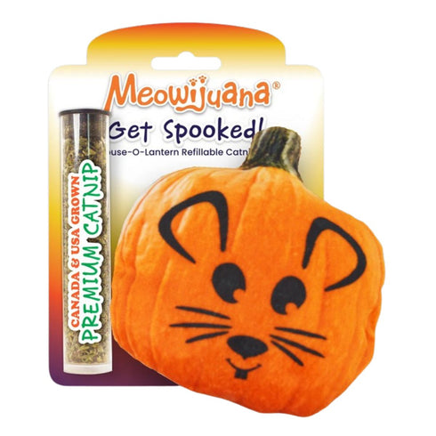 MeowIjuana Get Spooked Pumpkin Refillable Cat Toy - Poudre Pet & Feed Supply