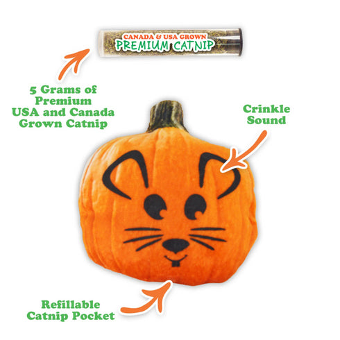 MeowIjuana Get Spooked Pumpkin Refillable Cat Toy - Poudre Pet & Feed Supply 2