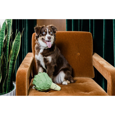 Injoya Artichoke Snuffle Dog Toy - Poudre Pet & Feed Supply 3