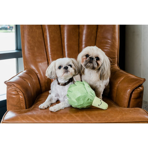 Injoya Artichoke Snuffle Dog Toy - Poudre Pet & Feed Supply 4