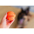Totally Pooched Stuff'n Brush Ball 3" Orange Dog Toy - Poudre Pet & Feed Supply 4