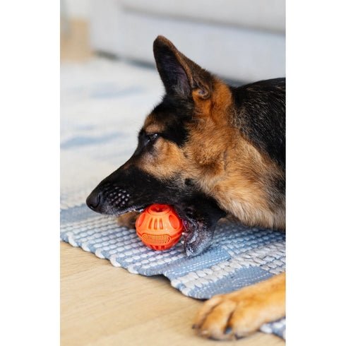 Totally Pooched Stuff'n Brush Ball 3" Orange Dog Toy - Poudre Pet & Feed Supply 5